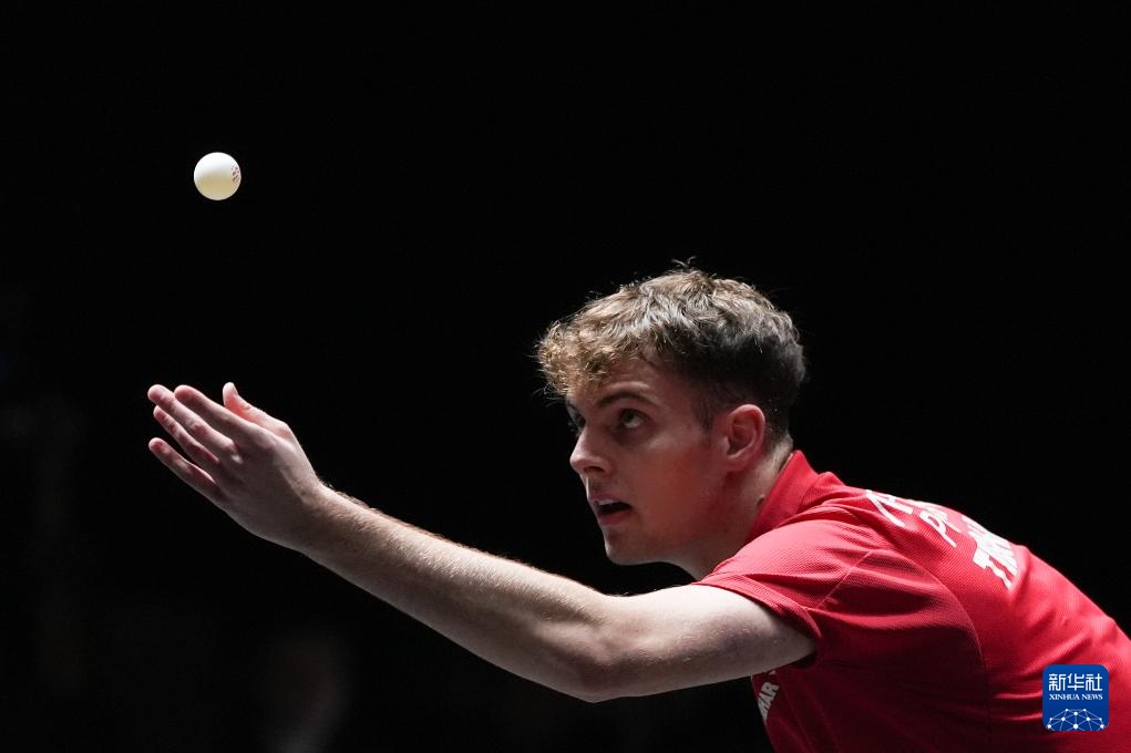 团队的荣誉 团队的荣誉