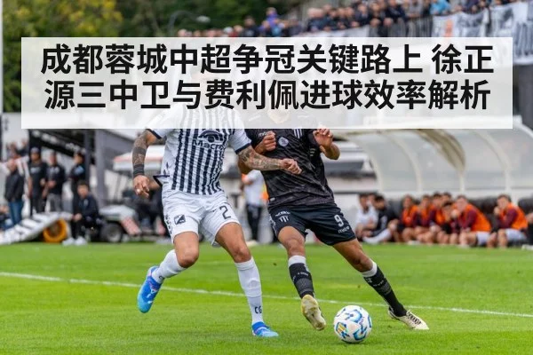 soccer stadium match action