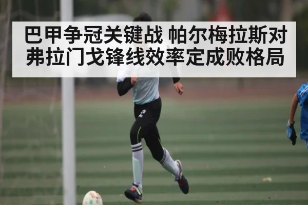 巴甲争冠关键战 帕尔梅拉斯对弗拉门戈锋线效率定成败格局